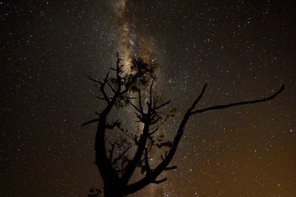 Pousada Encantos Do Cerrado Delfinópolis Exteriör bild