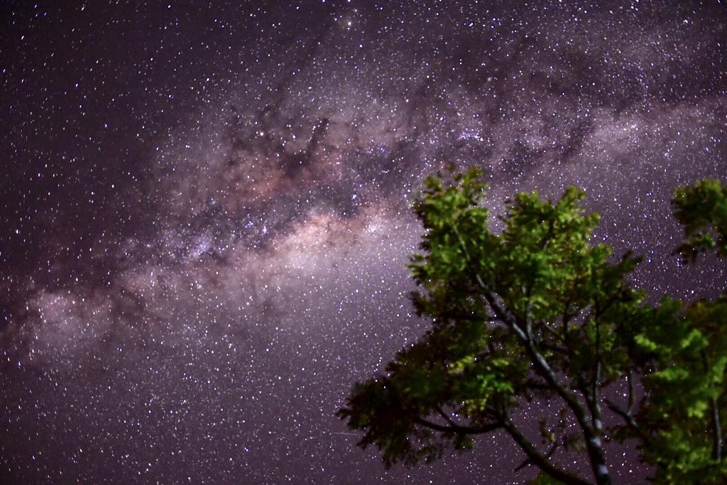 Pousada Encantos Do Cerrado Delfinópolis Exteriör bild
